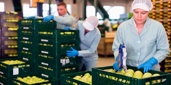 employees adding price tags to fruits and vegetables